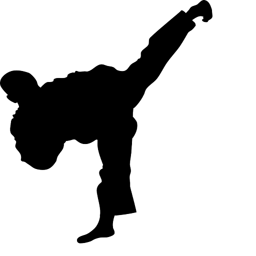 icon | Taekwondo-Life.com